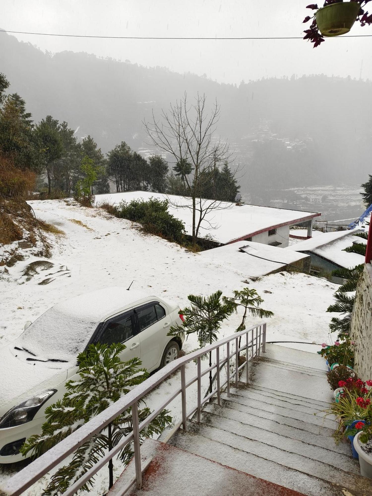 Naina Bird Cottage Nainital Ngoại thất bức ảnh