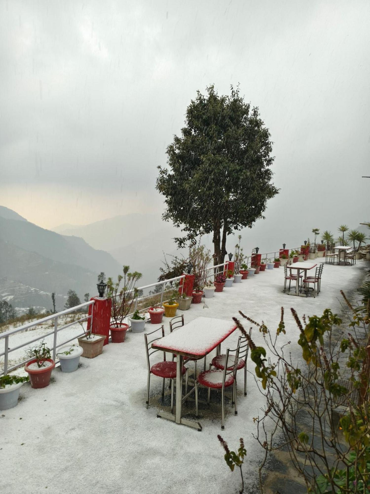 Naina Bird Cottage Nainital Ngoại thất bức ảnh