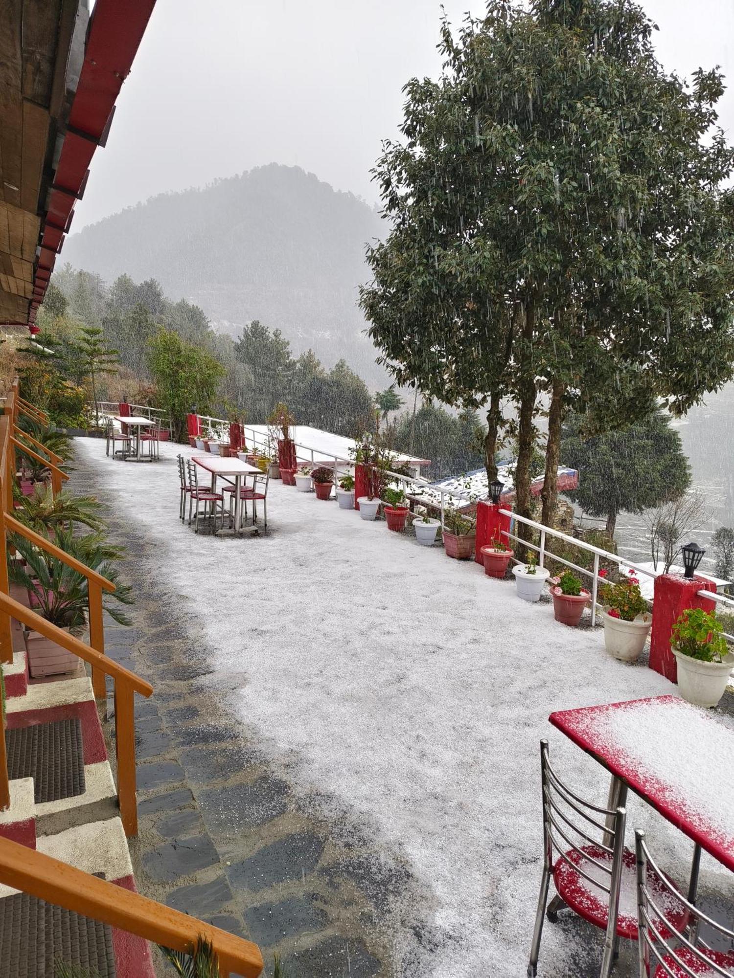 Naina Bird Cottage Nainital Ngoại thất bức ảnh